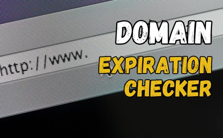 Domain Expiration Checker